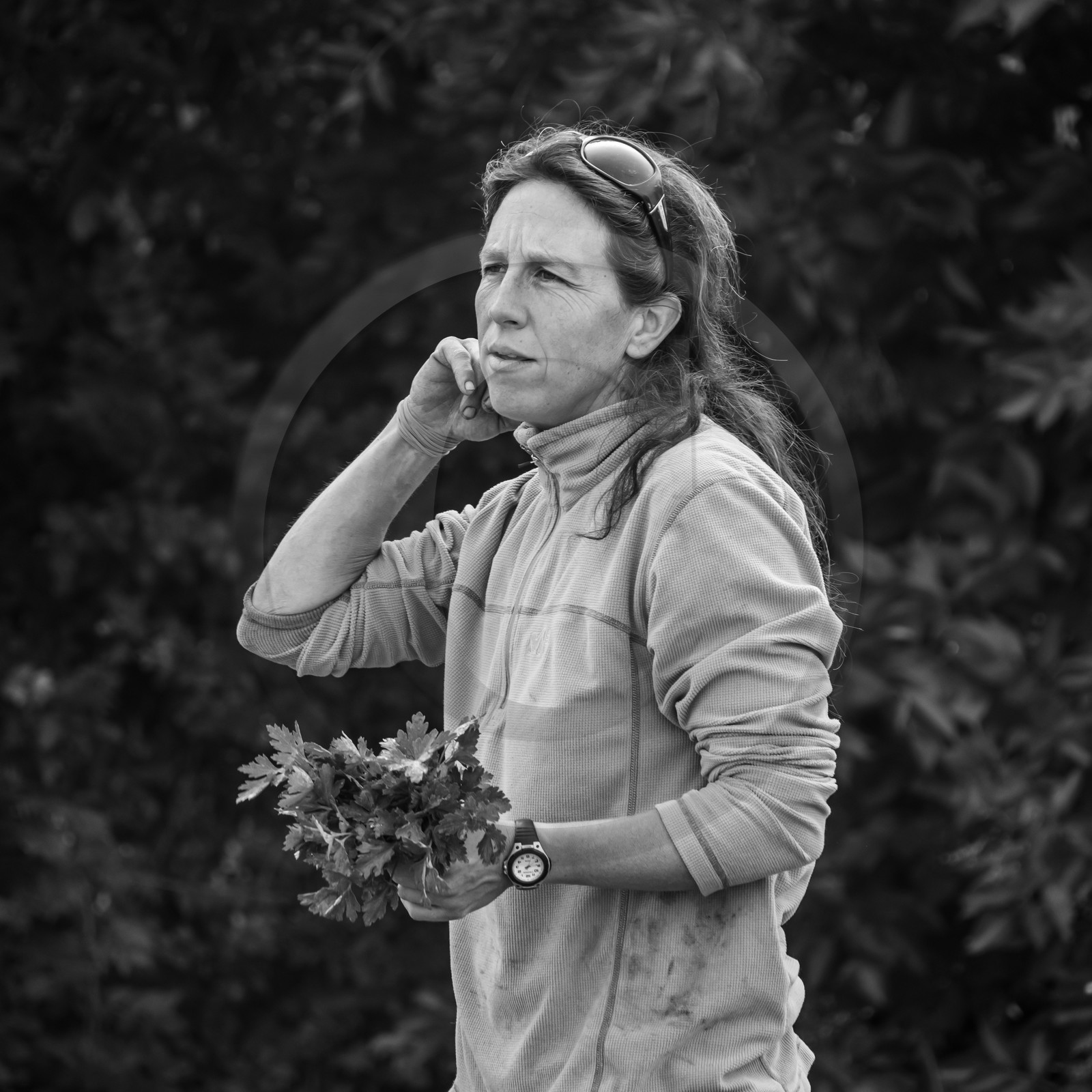 Maraichage biologique dans le Champsaur