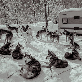 La Valgaude Traineau 2015