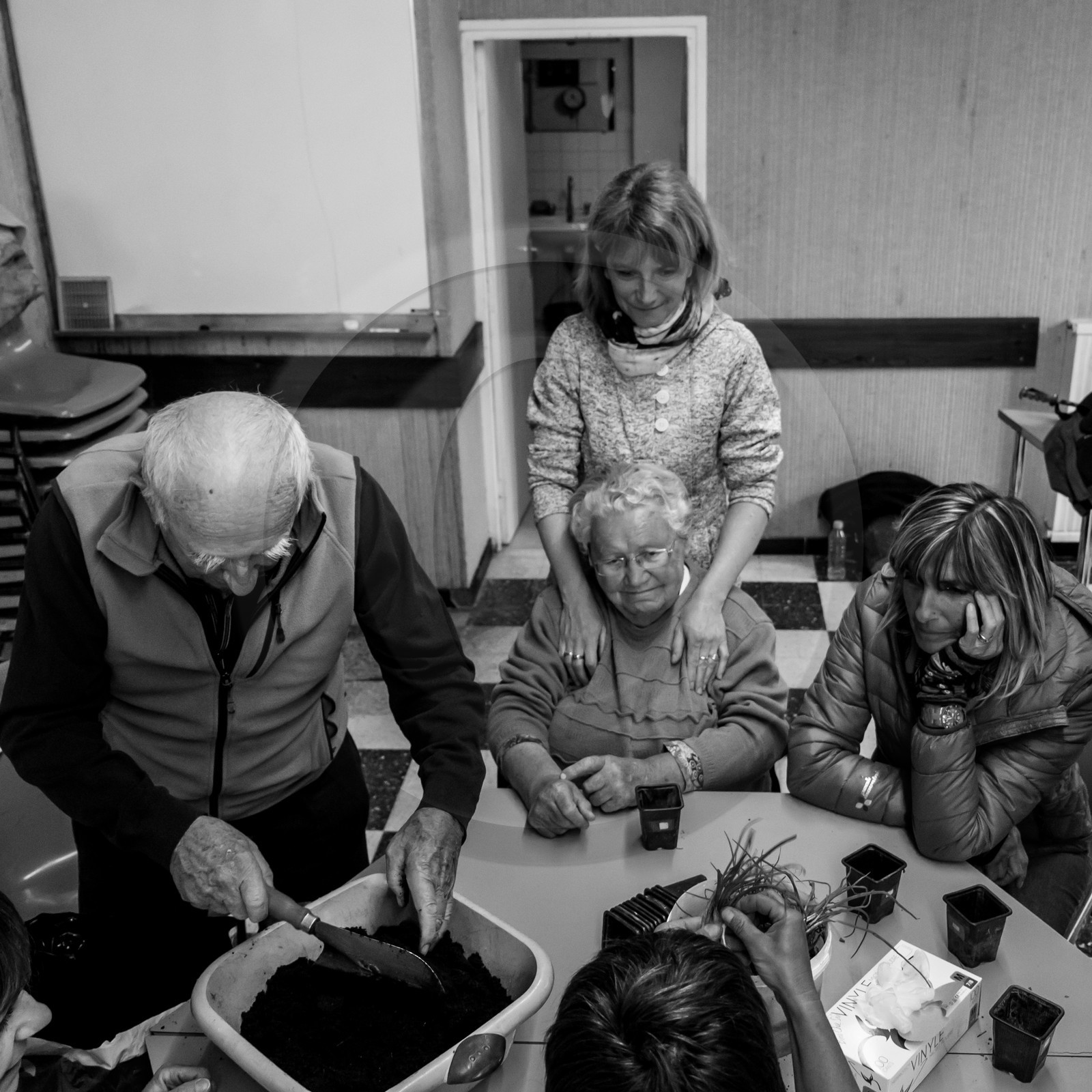 Atelier repiquage de plants de ciboulettes - 05 04 2017 Atelier repiquage de plants de ciboulettes - 05 04 2017