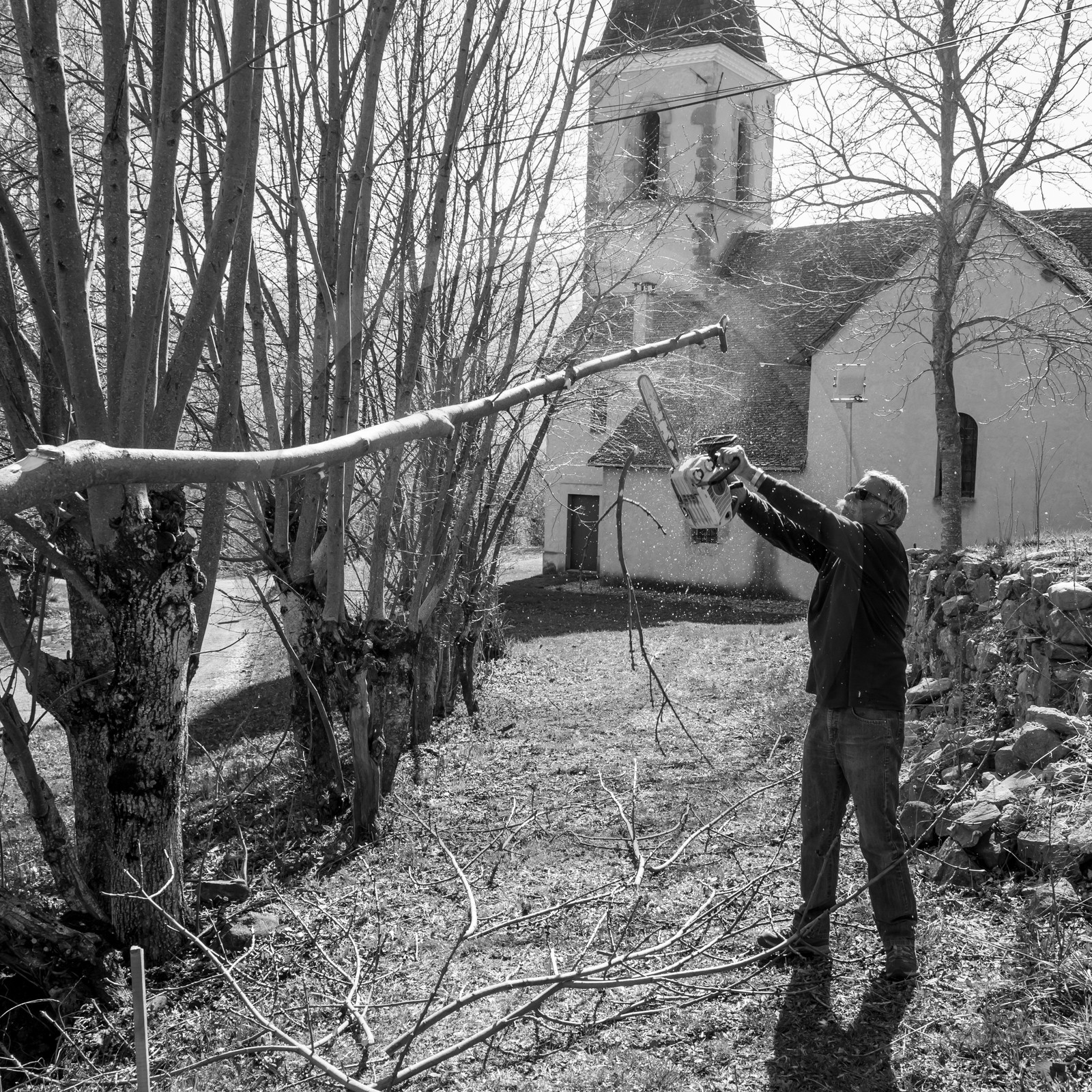 Nettoyage du terrain - Coupe du bois - 29 03 17