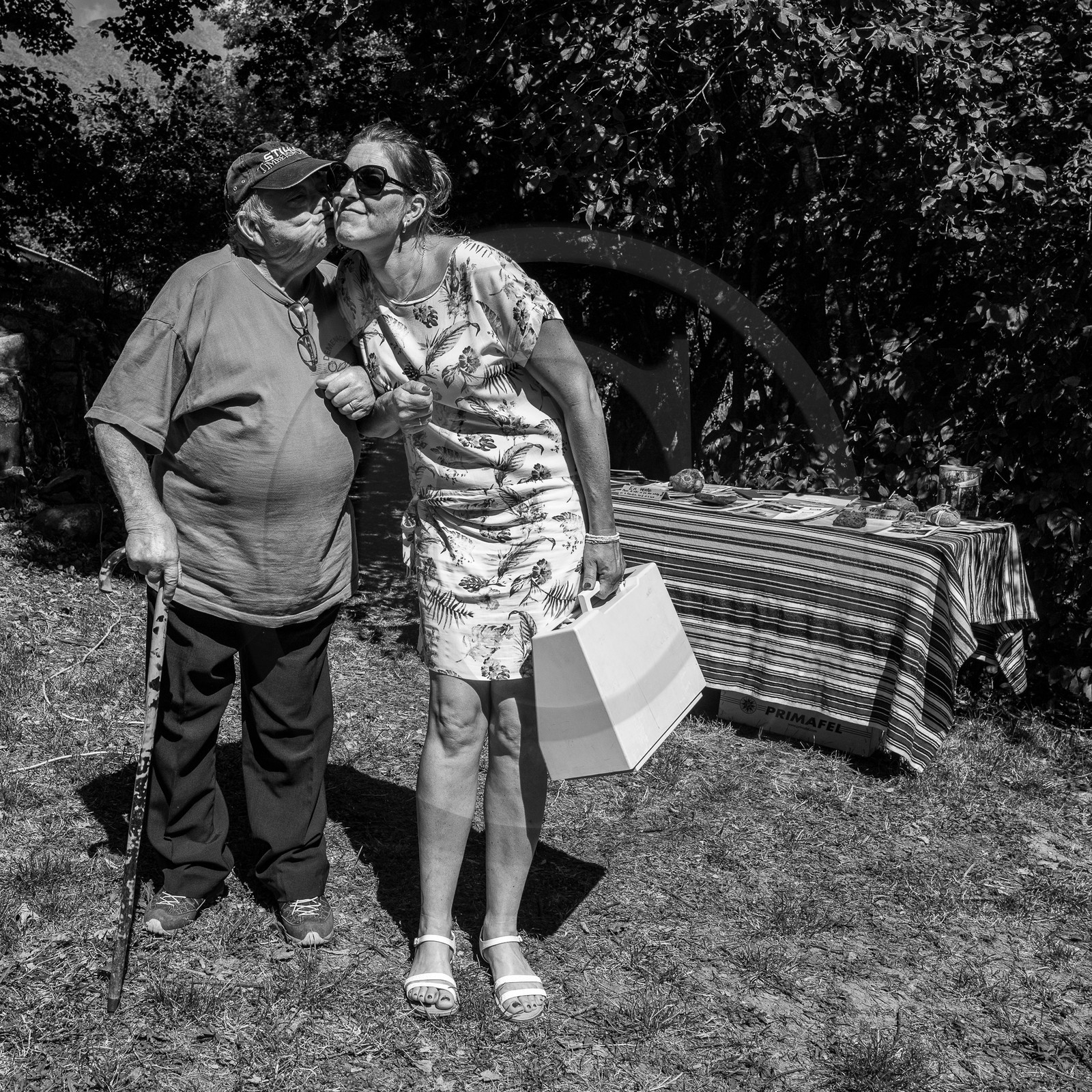 06 septembre 2023 : laine, couture et semis