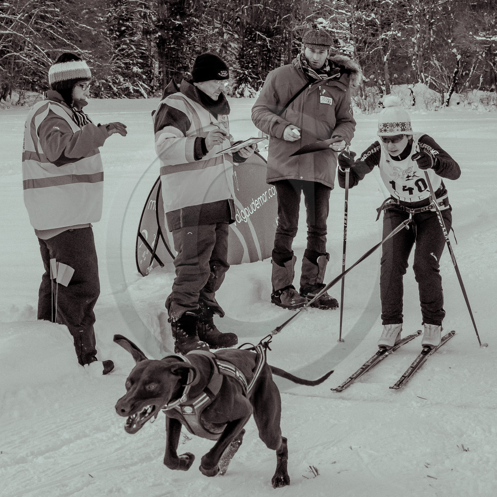 La Valgaude Traineau 2015
