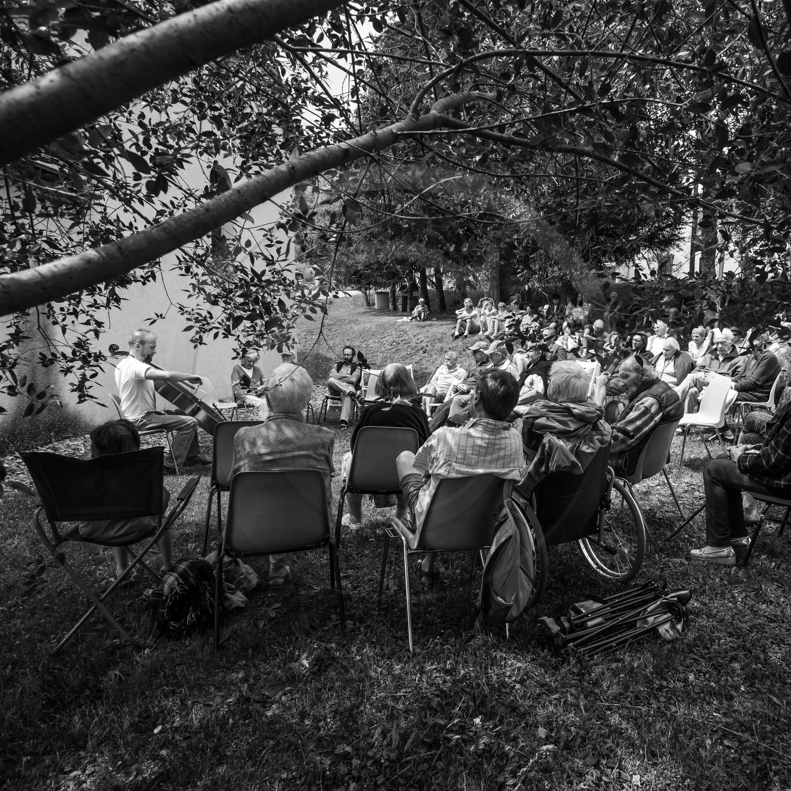 Sieste musicale avec Florian Antier - Violoncelliste