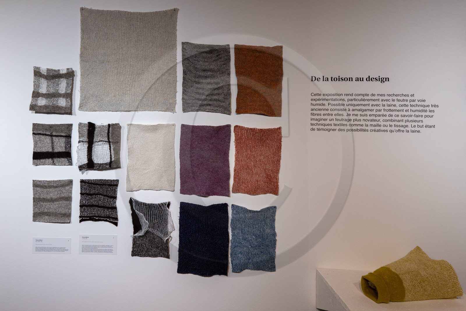 Expositions à la maison du Berger - Champoléon