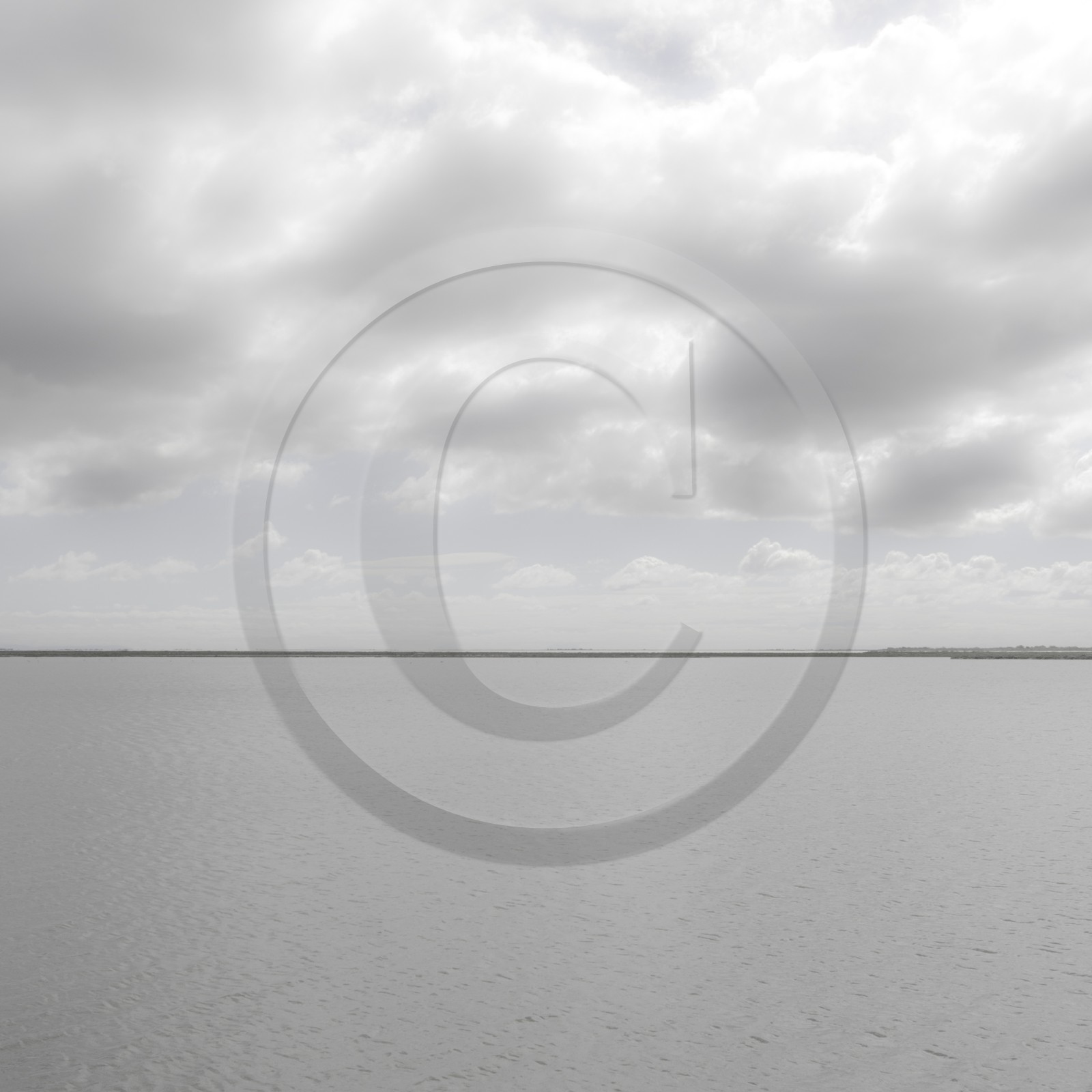 Camargue couleur pastel