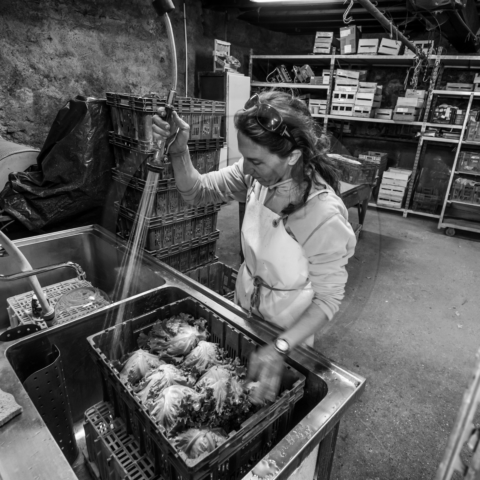 Maraichage biologique dans le Champsaur