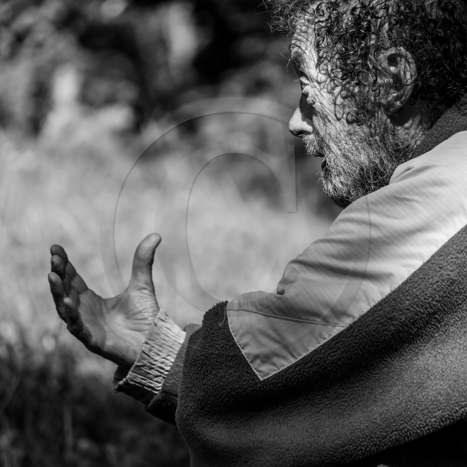 Arpenter le paysage avec Martin de la Soudière