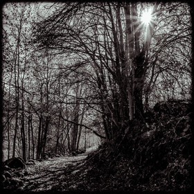 Sentier en forêt - Champoléon