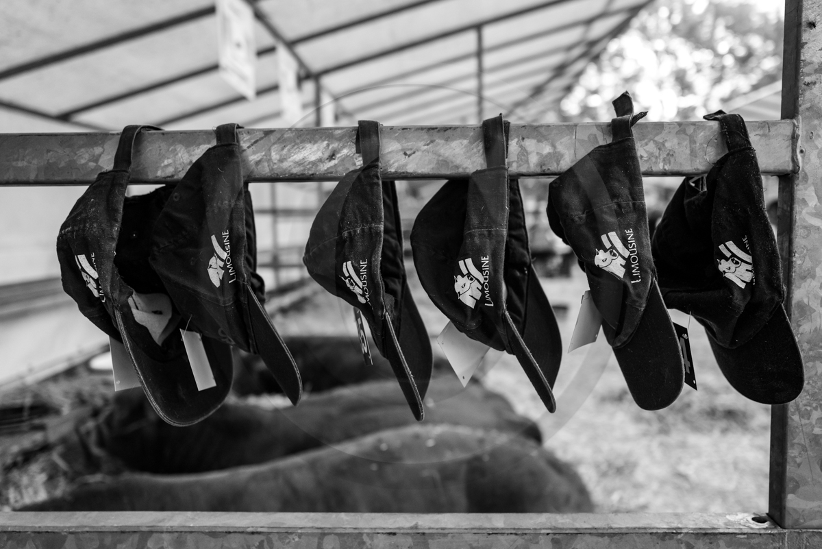 Rencontres paysannes à Saint-Bonnet en Champsaur