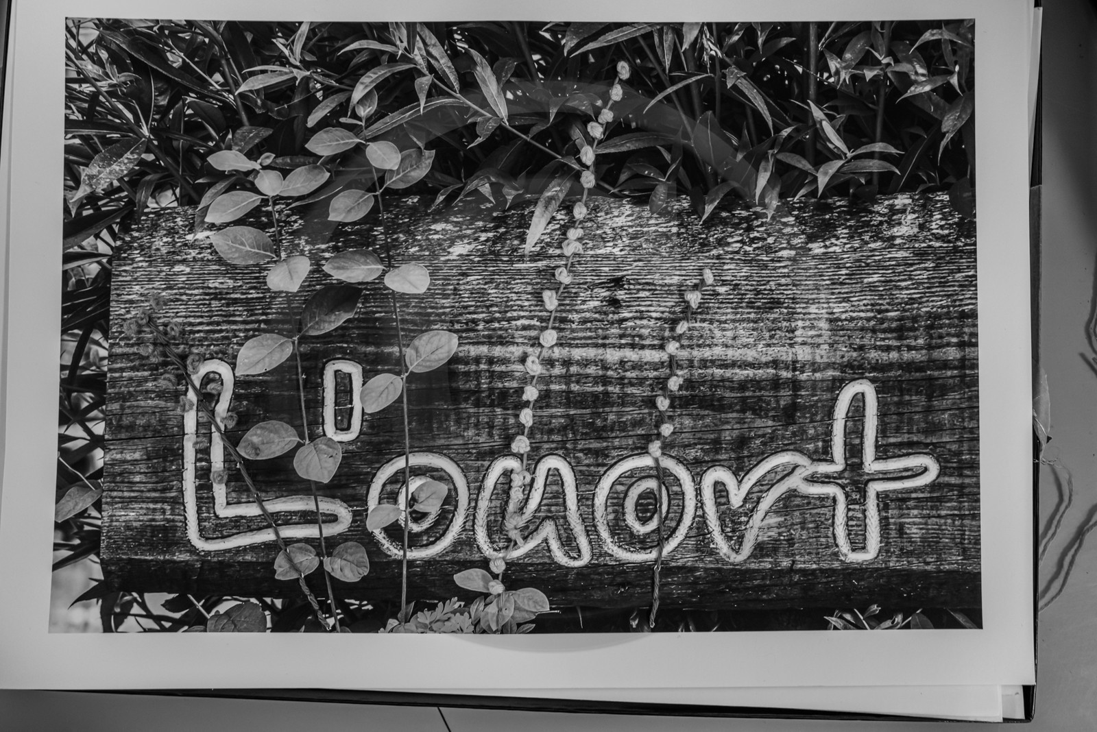 Broderies sur les photographies de Denis Lebioda, jeux, panneaux mon livre préféré, voyage en amérique latine de Claudine et Denis Meyer