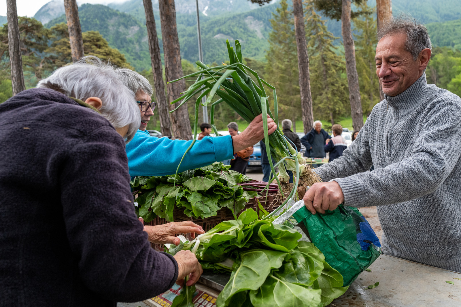 31 mai 2025 : AMAP du Champsaur - Distribution