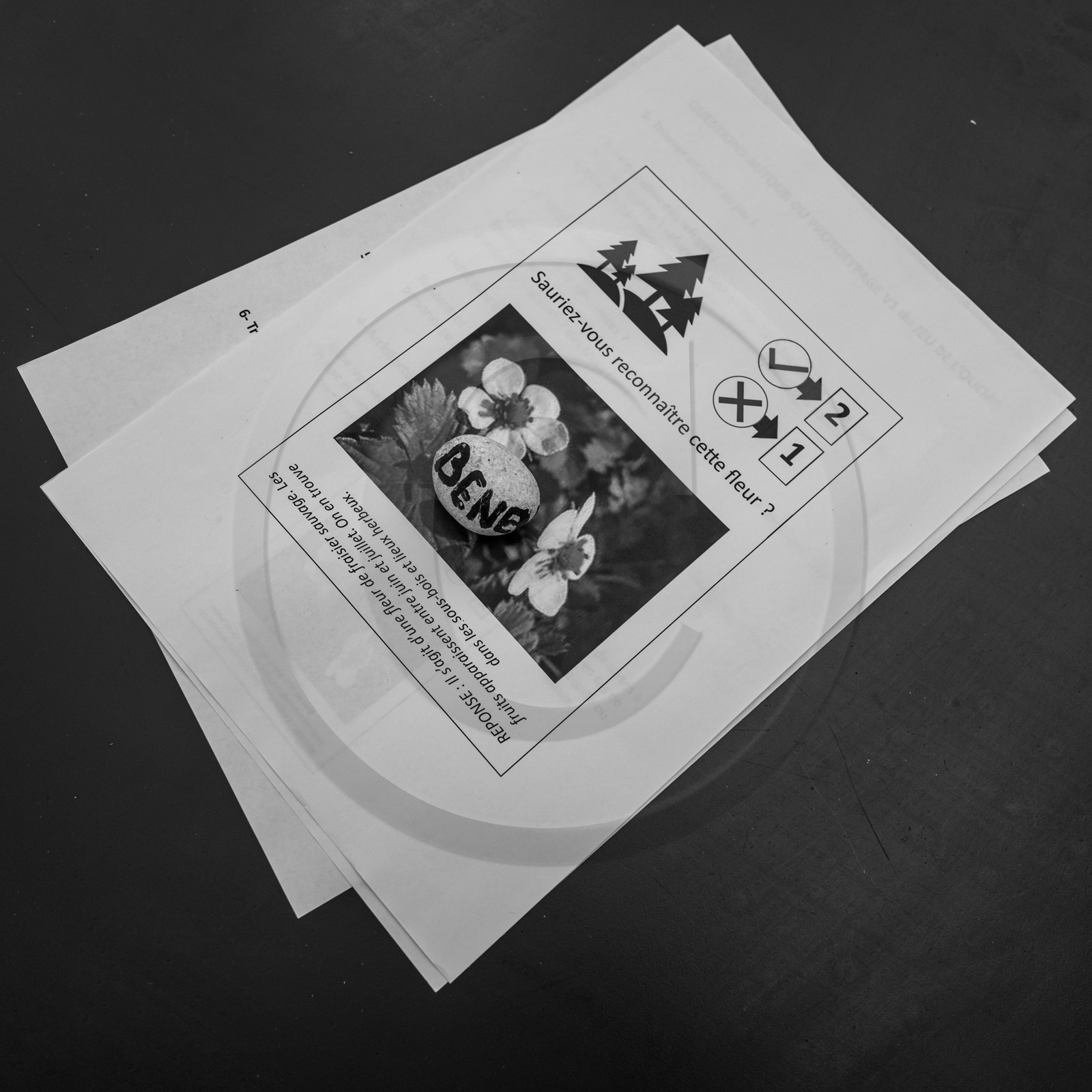 12 juin 2024 : création d'un jeu et jardinage 12 juin 2024 : création d'un jeu et jardinage