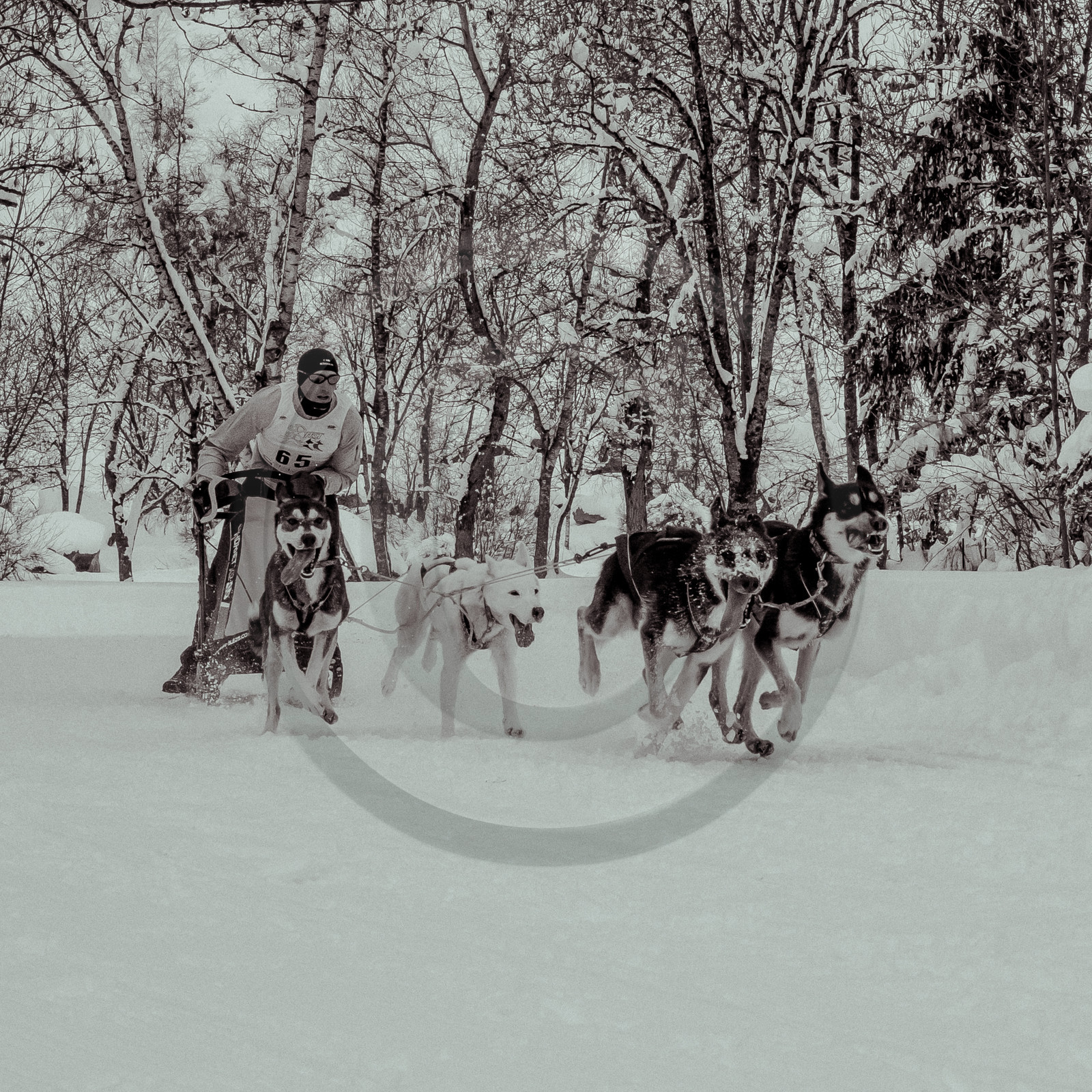 La Valgaude Traineau 2015