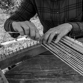 Atelier laine et promenade au jardin