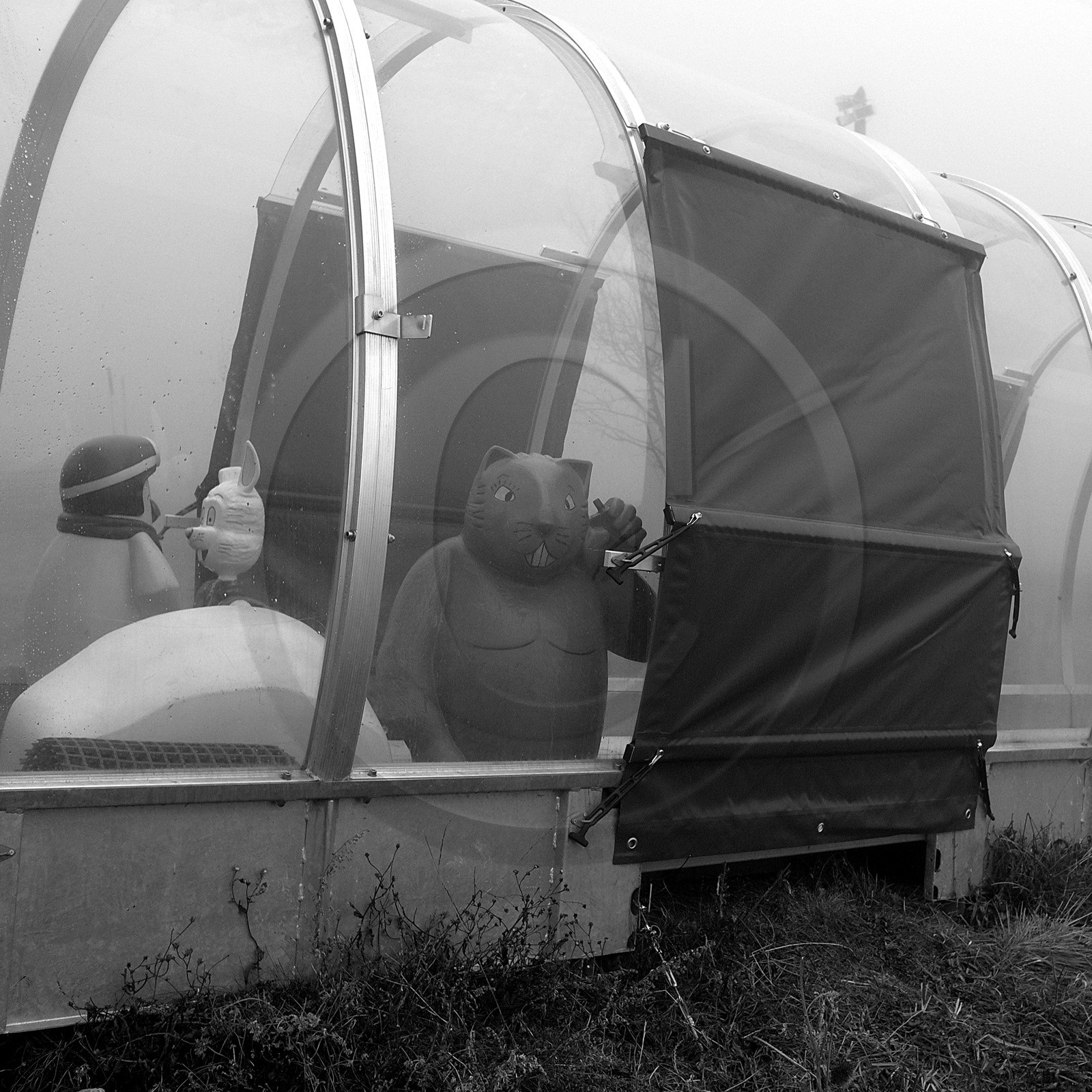 En attendant la neige