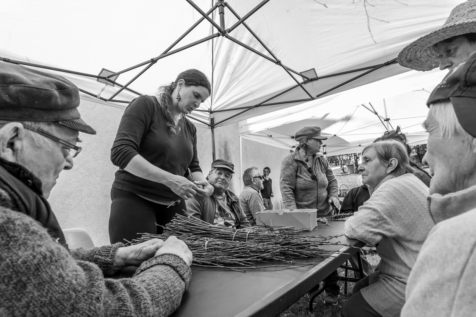 30 avril 2025 : Un oiseau en osier