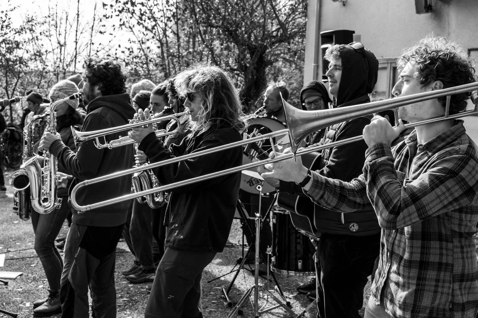 26 octobre 2025 : Les oiseaux de trottoir