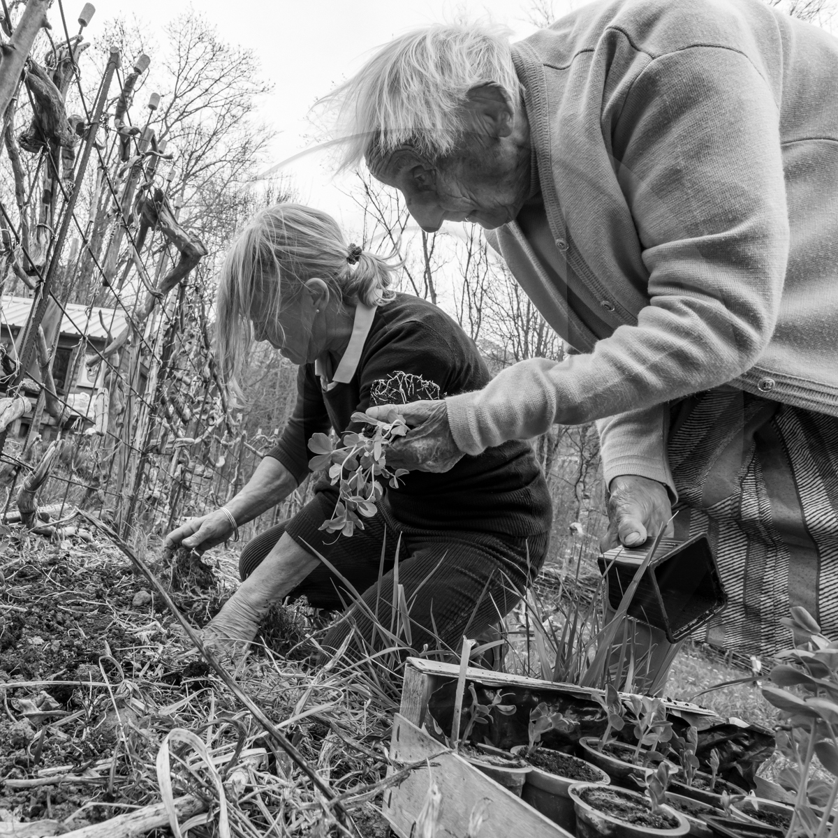 20 avril 2022 : des contes, des pommes de terre et un petit café 20 avril 2022 : des contes, des pommes de terre et un petit café
