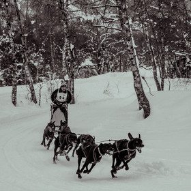 La Valgaude Traineau 2015