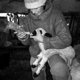 La bergerie de Michèle Soubeyrand