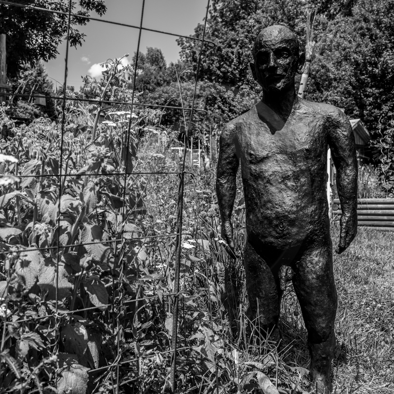 Exposition La forêt d'hommes, une création de Barbara Fougnon, artiste plasticienne