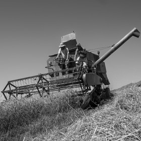 Les moissons dans le Champsaur