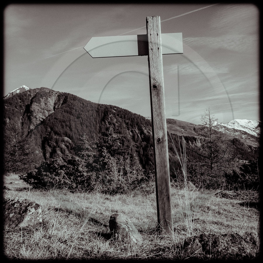Promenade en forêt Promenade en forêt