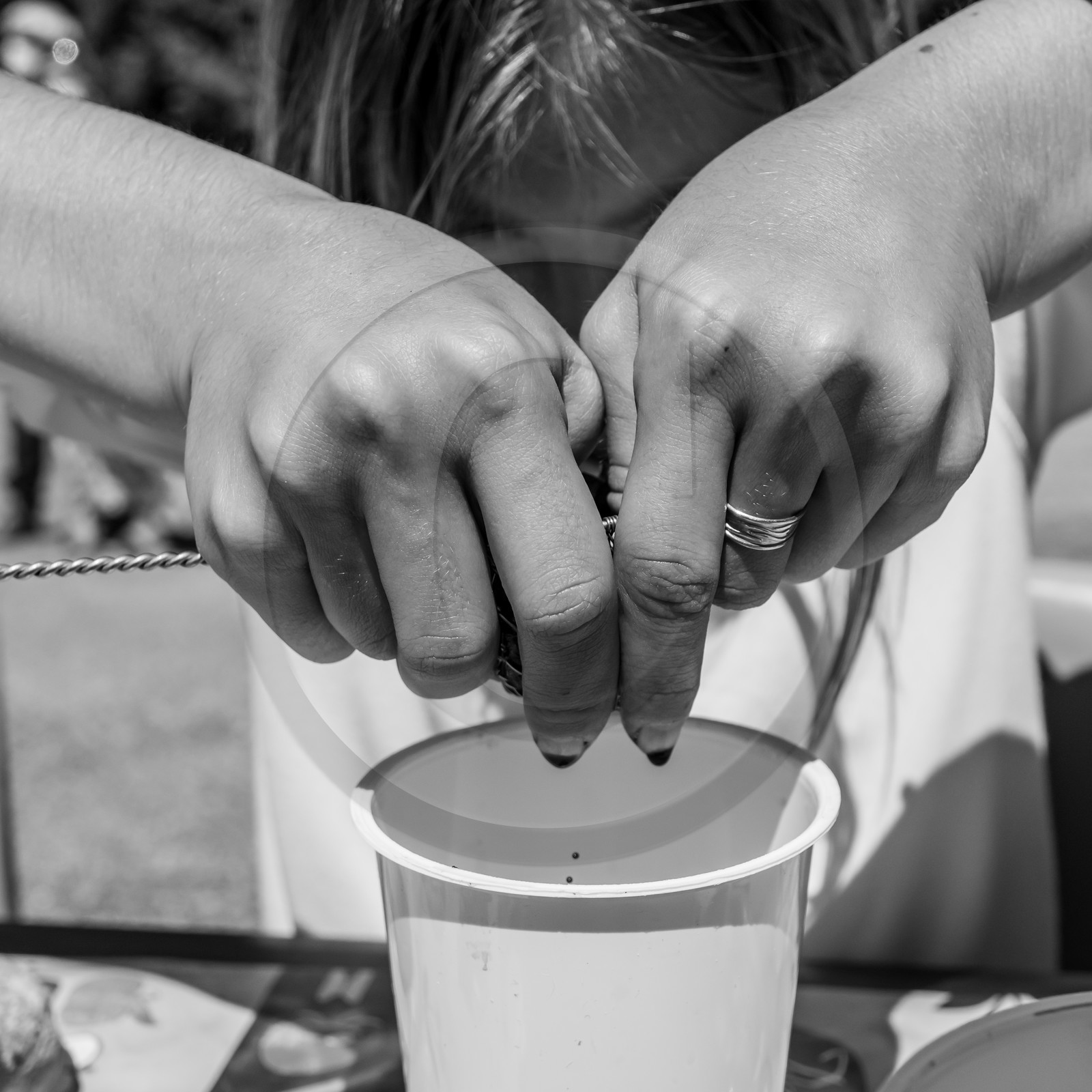 06 juin 2021 : Vide-Jardin et peinture végétale