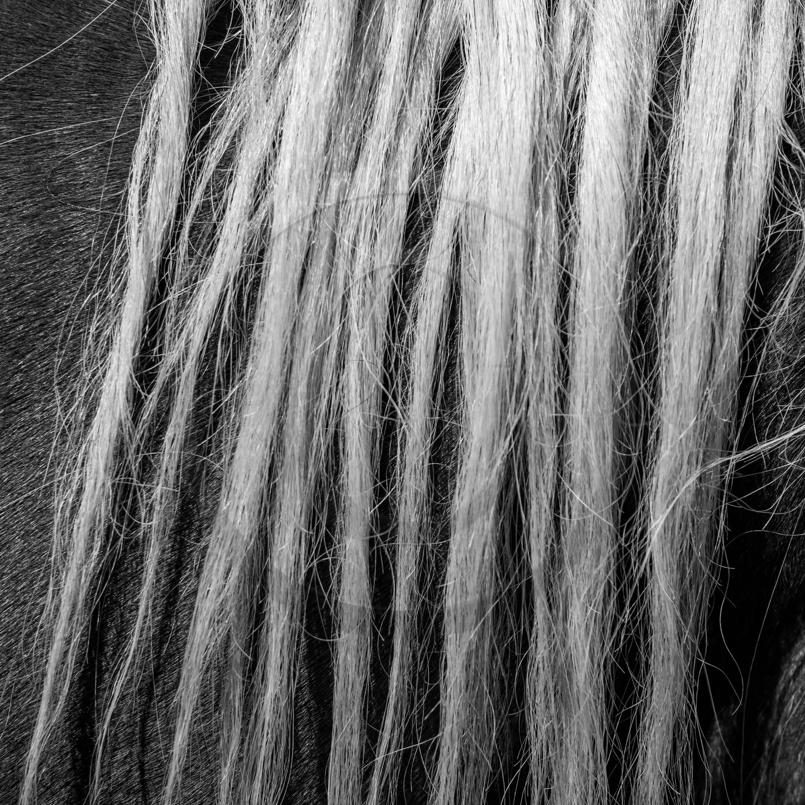 01 septembre 2021 : Promenade en cariole et contes