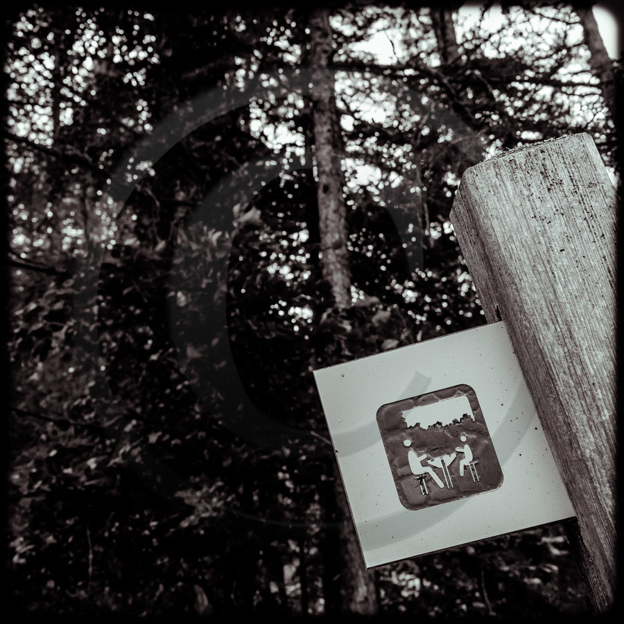 Promenade en forêt Promenade en forêt