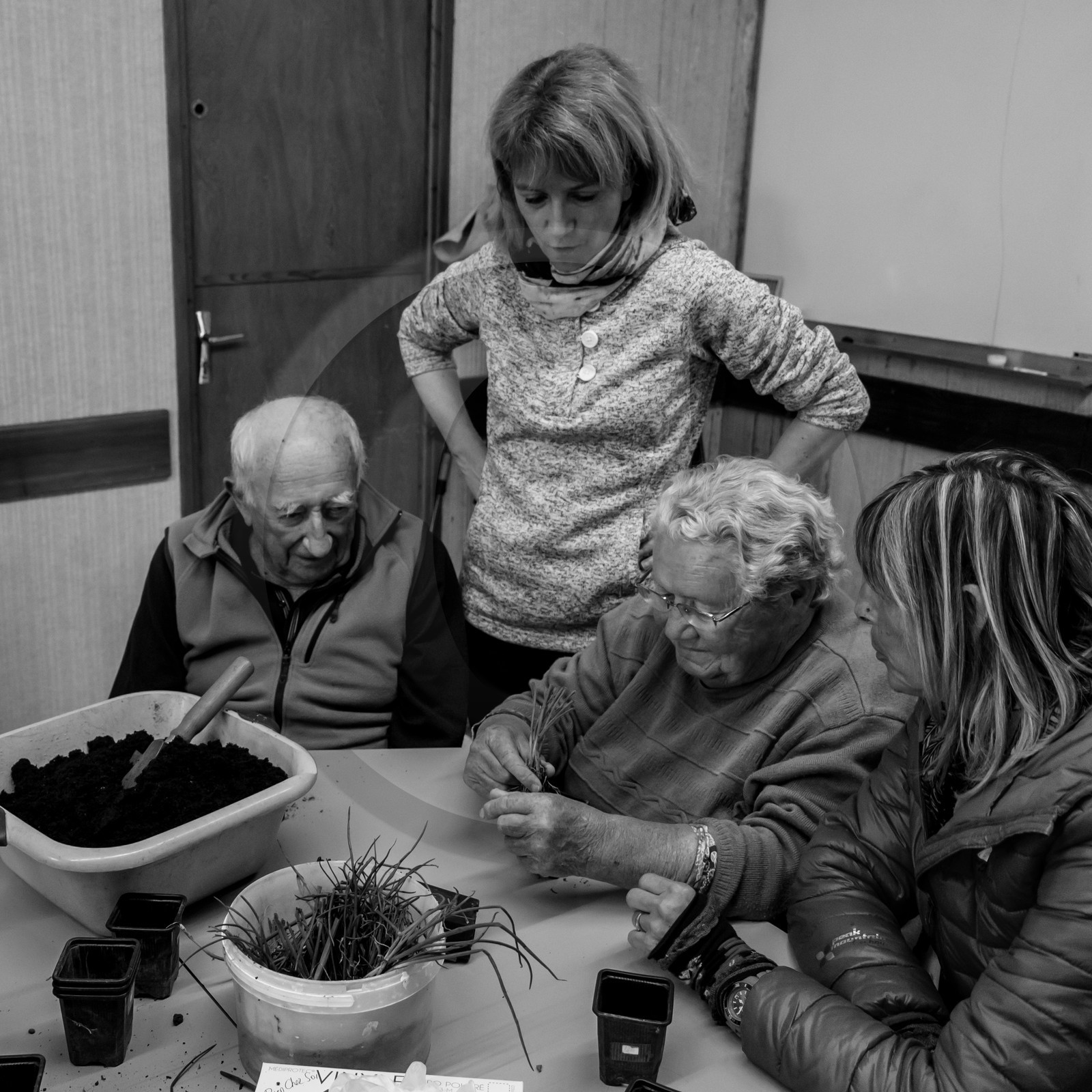 Atelier repiquage de plants de ciboulettes - 05 04 2017