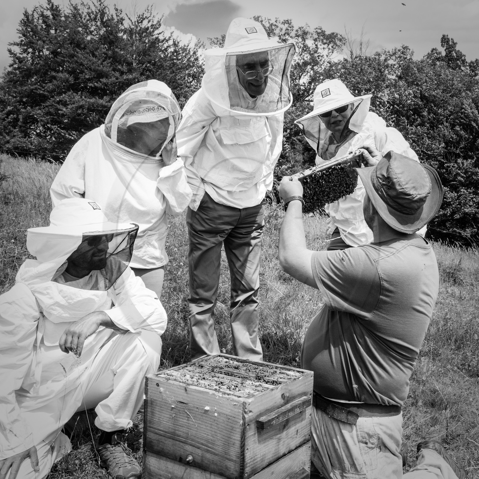 Visite au Rucher des Noisetiers
