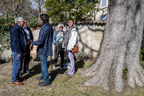 28 février 2025 : Manosque - Maison de Jean Giono - Rénovation et maison de site