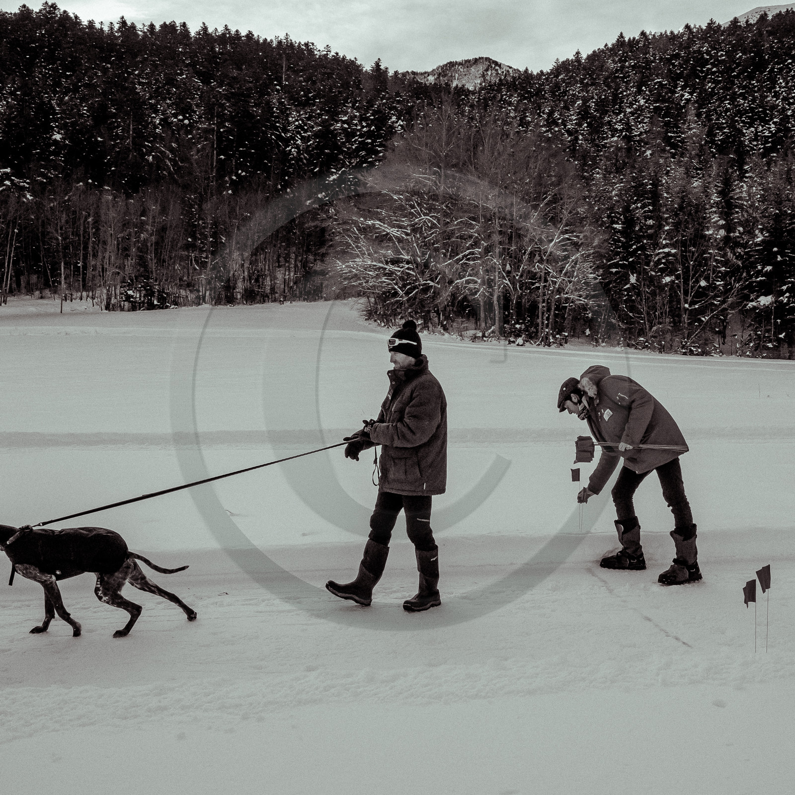 La Valgaude Traineau 2015