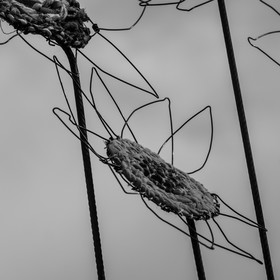 Fabrication de tournesols