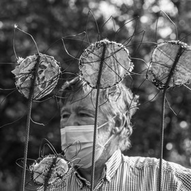 Fabrication de tournesols