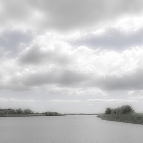 Camargue couleur pastel