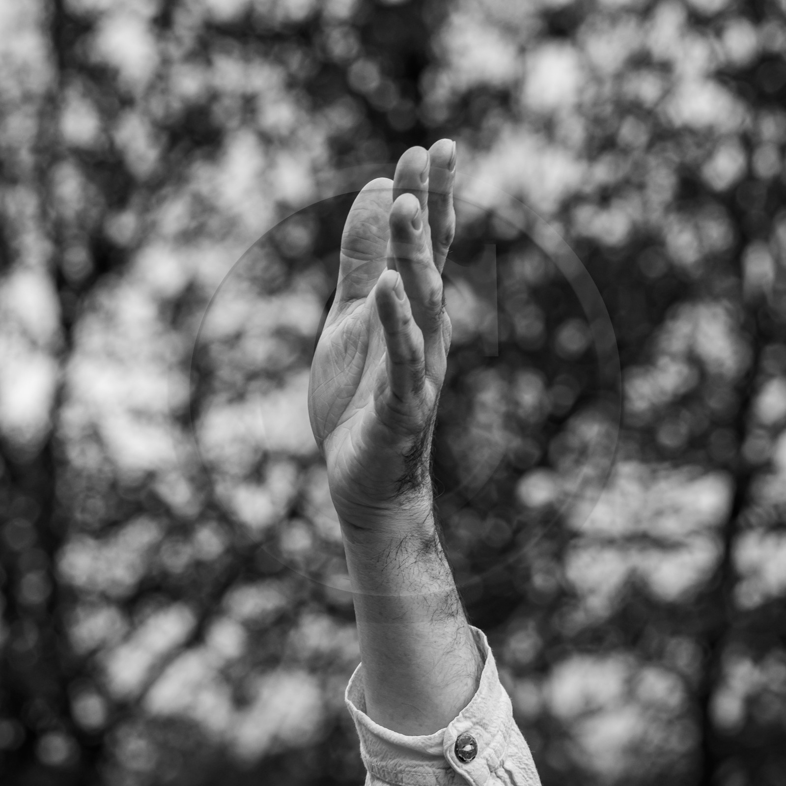 27 octobre 2024 : Contes avec Gilles Bougère