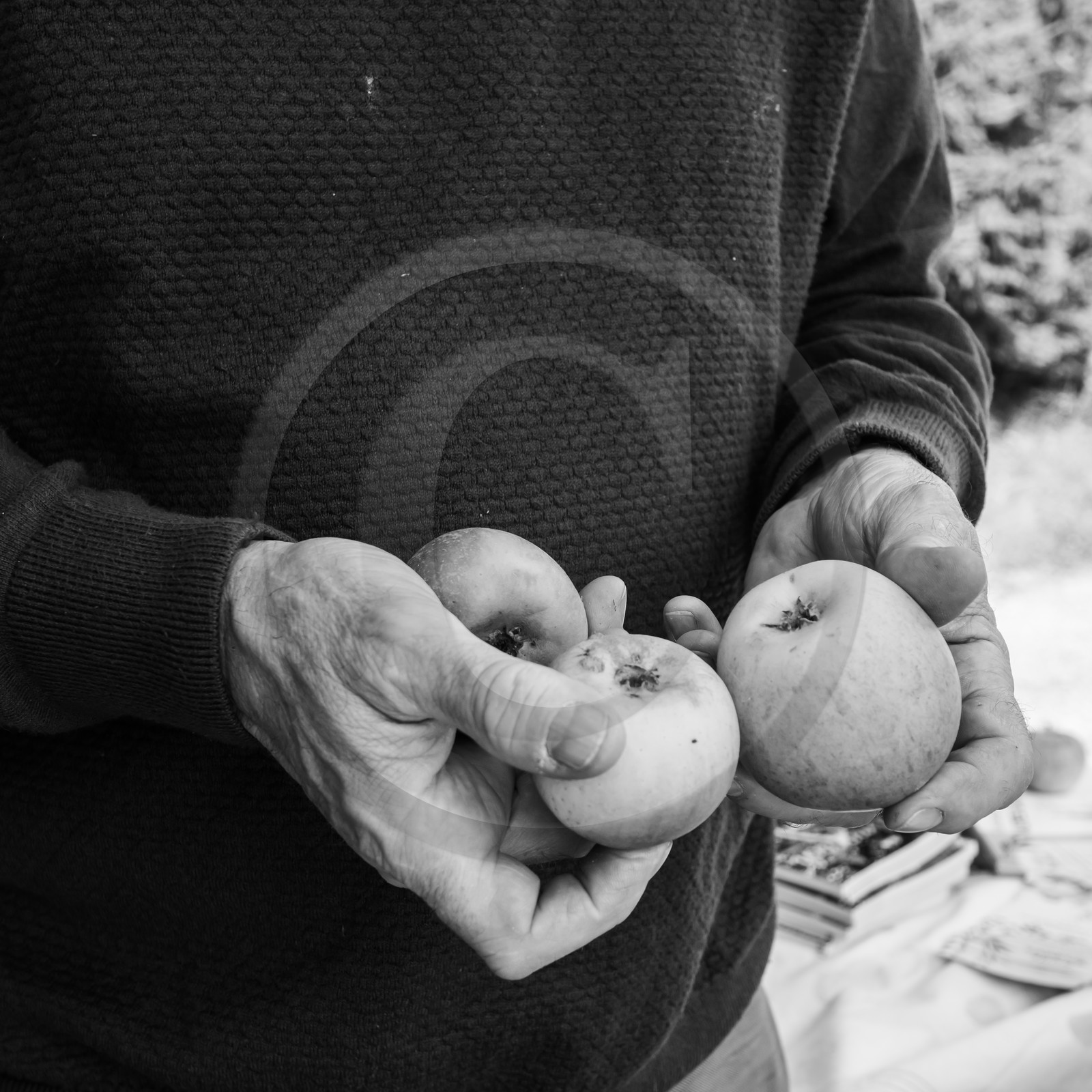 27 octobre 2019 : pommes, soupes et gâteaux 27 octobre 2019 : pommes, soupes et gâteaux