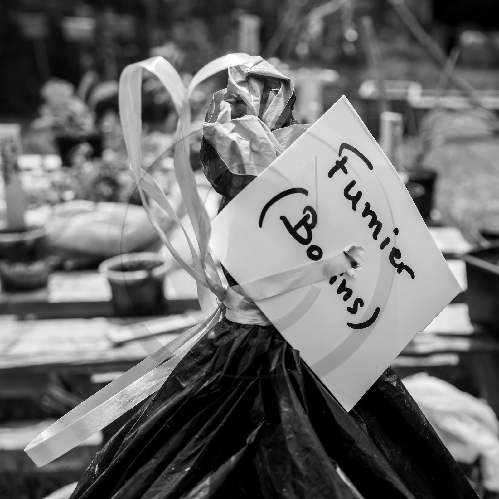 25 mai 2019 : Vide-Jardin de l'Ouort de Benevènt
