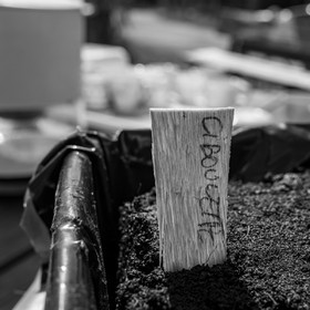 13 avril 2022 : épouvantails et petites graines