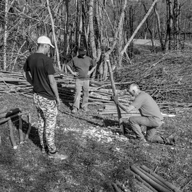 Nettoyage du terrain - Coupe du bois - 29 03 17