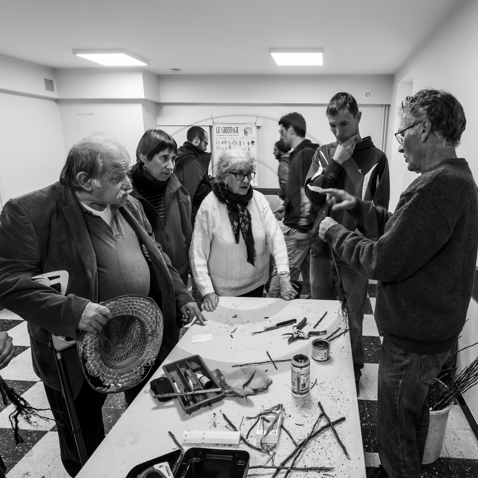 03 avril 2019 : Initiation à la greffe d'arbres fruitiers