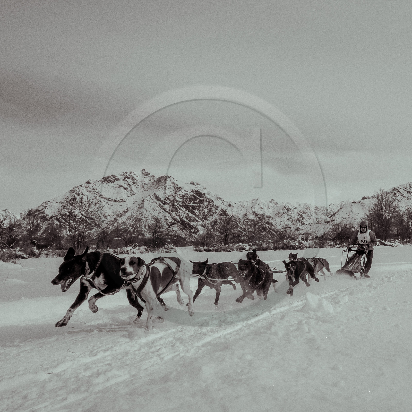 La Valgaude Traineau 2015 La Valgaude Traineau 2015