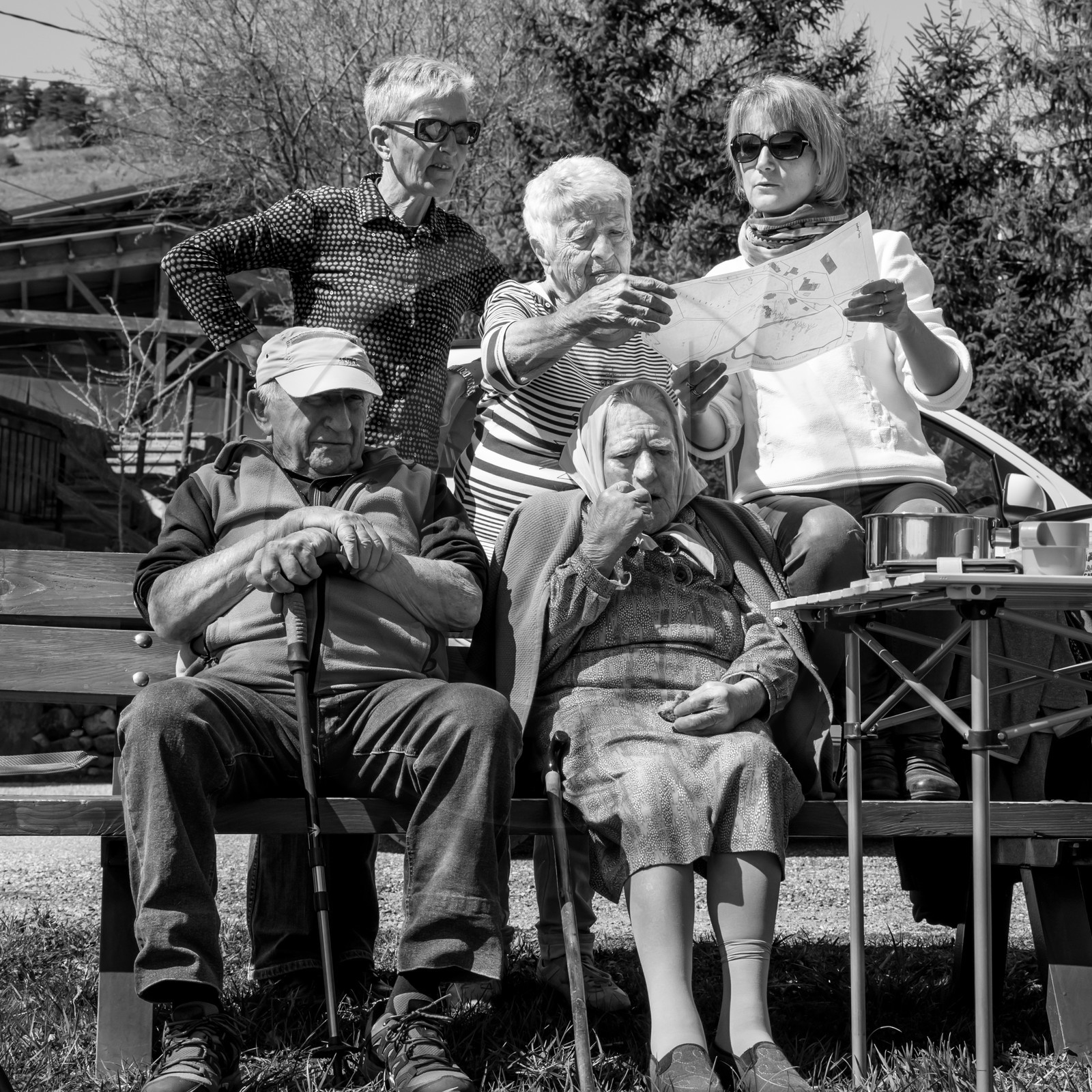 Nettoyage du terrain - Coupe du bois - 29 03 17