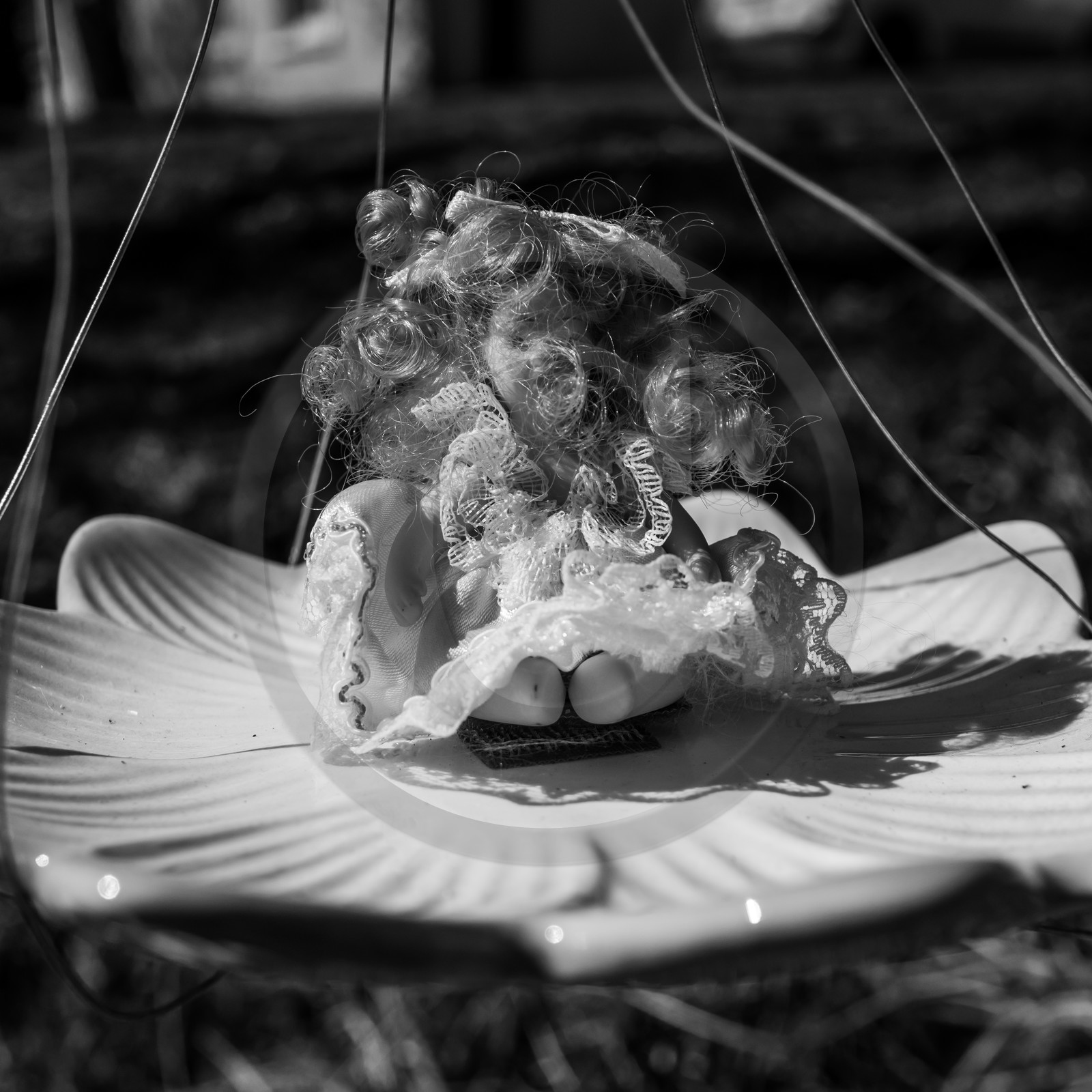 20 mars 2018 : une après-midi au jardin