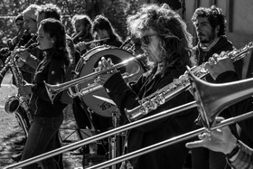 26 octobre 2025 : Les oiseaux de trottoir