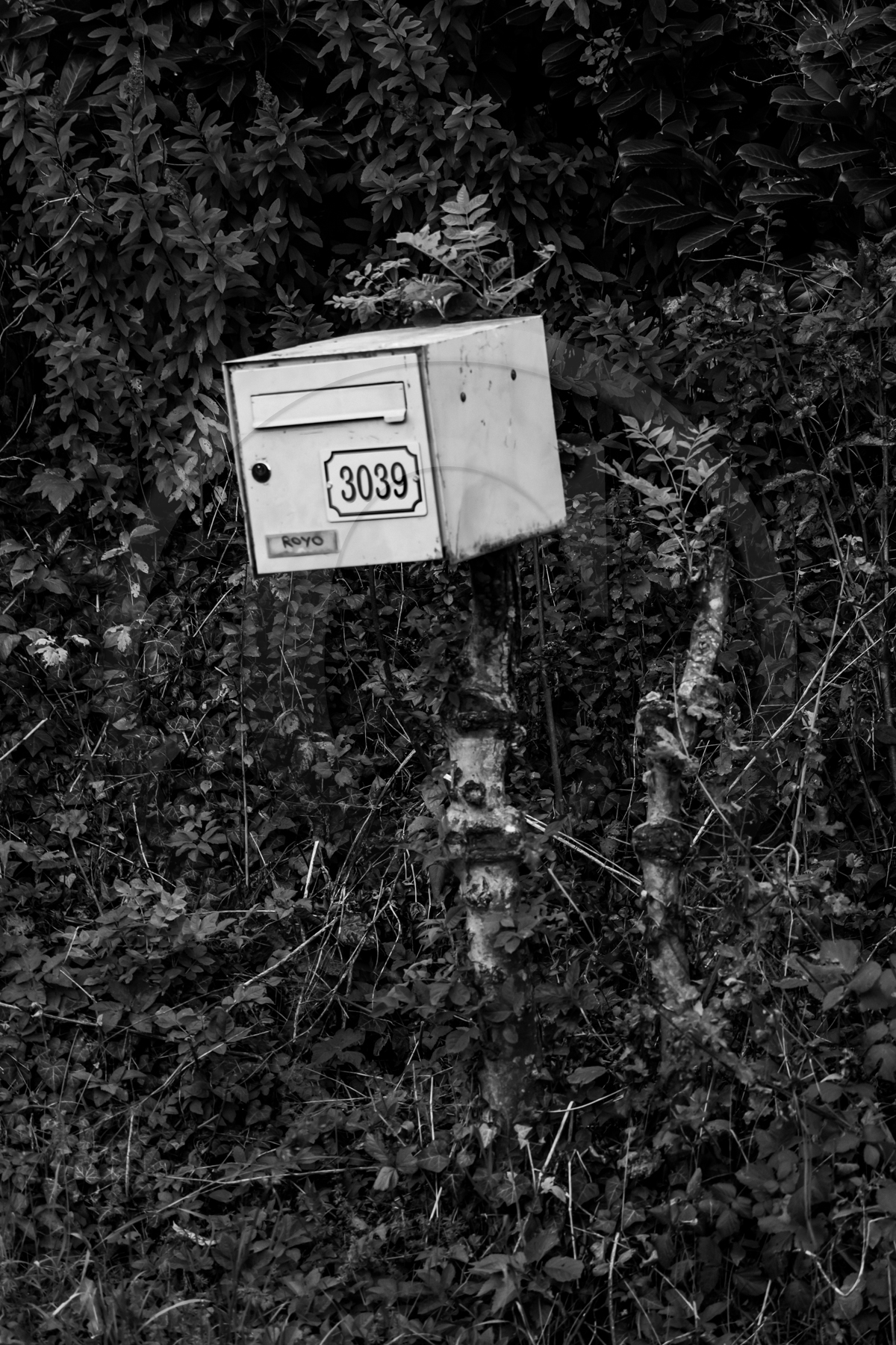 Des chiffres et des lettres