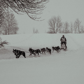 La Valgaude Traineau 2015