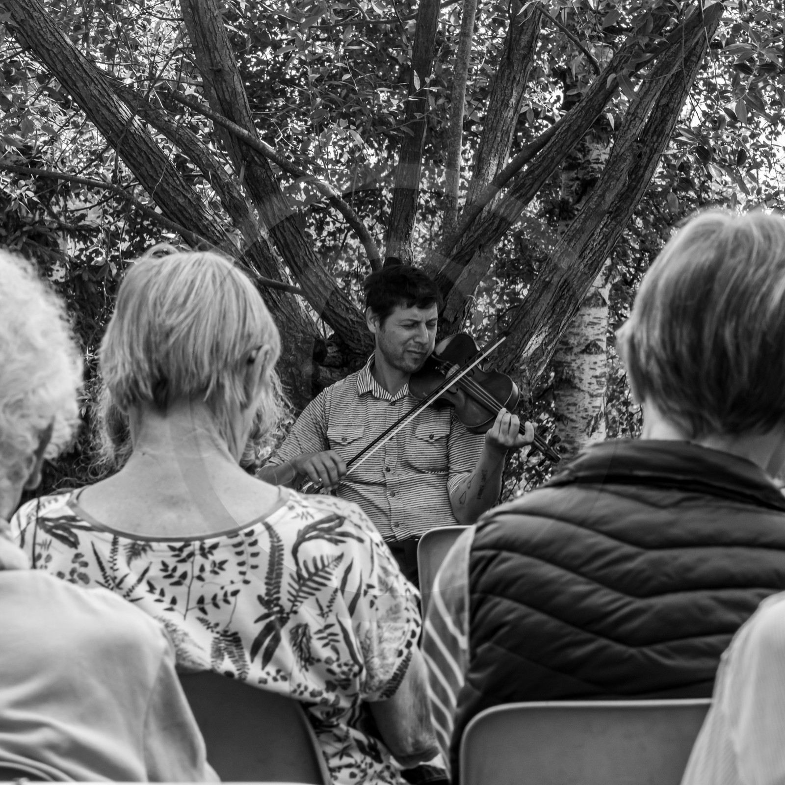 26 juin 2024 : Sieste Musicale avec Balthazar